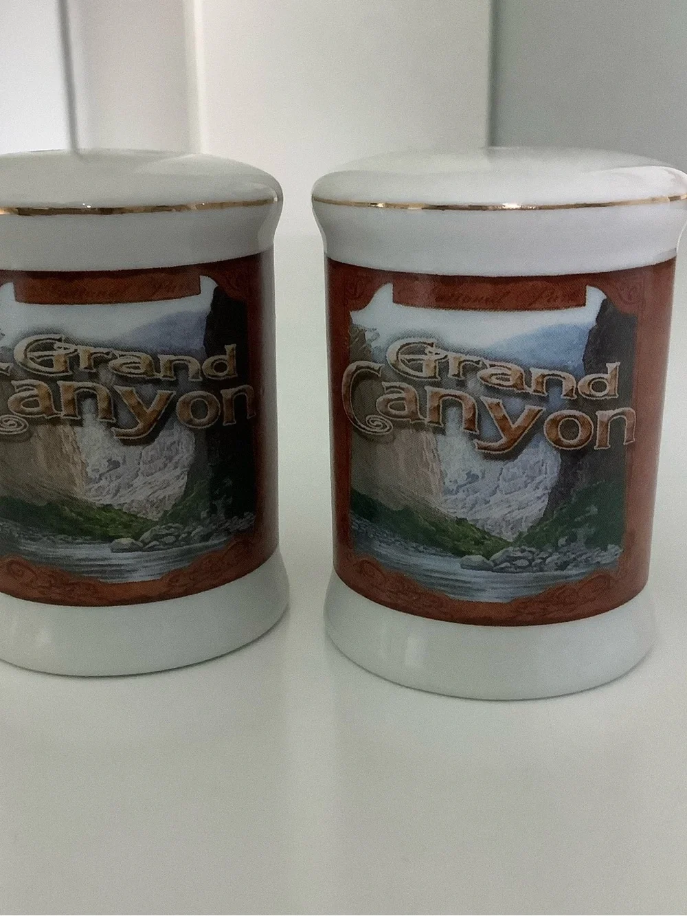 Grand Canyon Souvenir Ceramic Salt & Pepper Shakers in White with Brown Accents